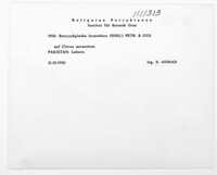 Image Associated With the Occurence